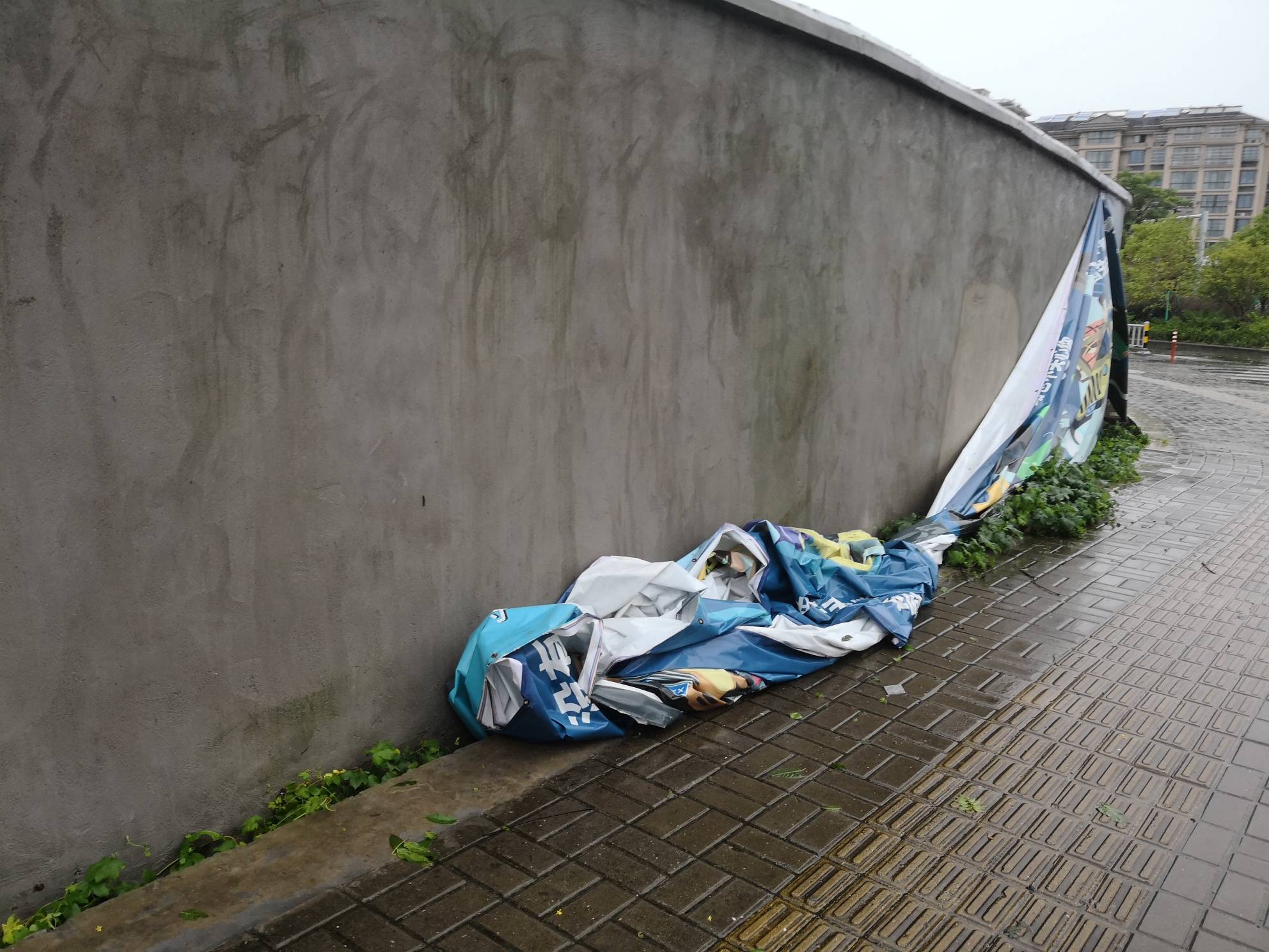 台风走了,留下满地狼藉,路边的公益广告被吹掉了