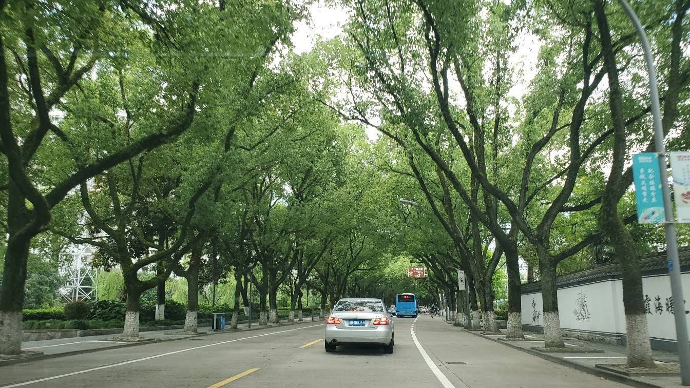 美奂美仑的长春路