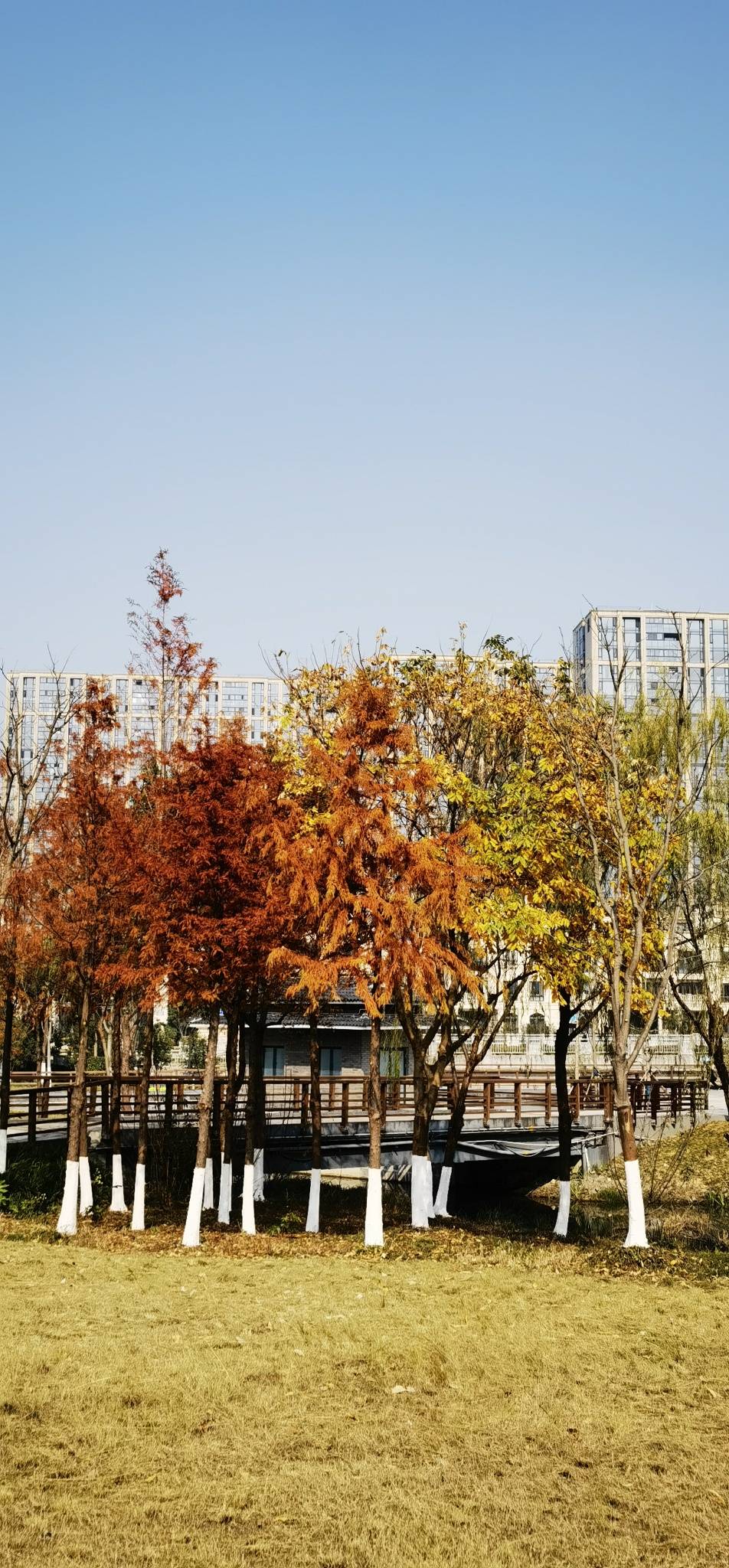 鄞州公园二期之光61景61影复制