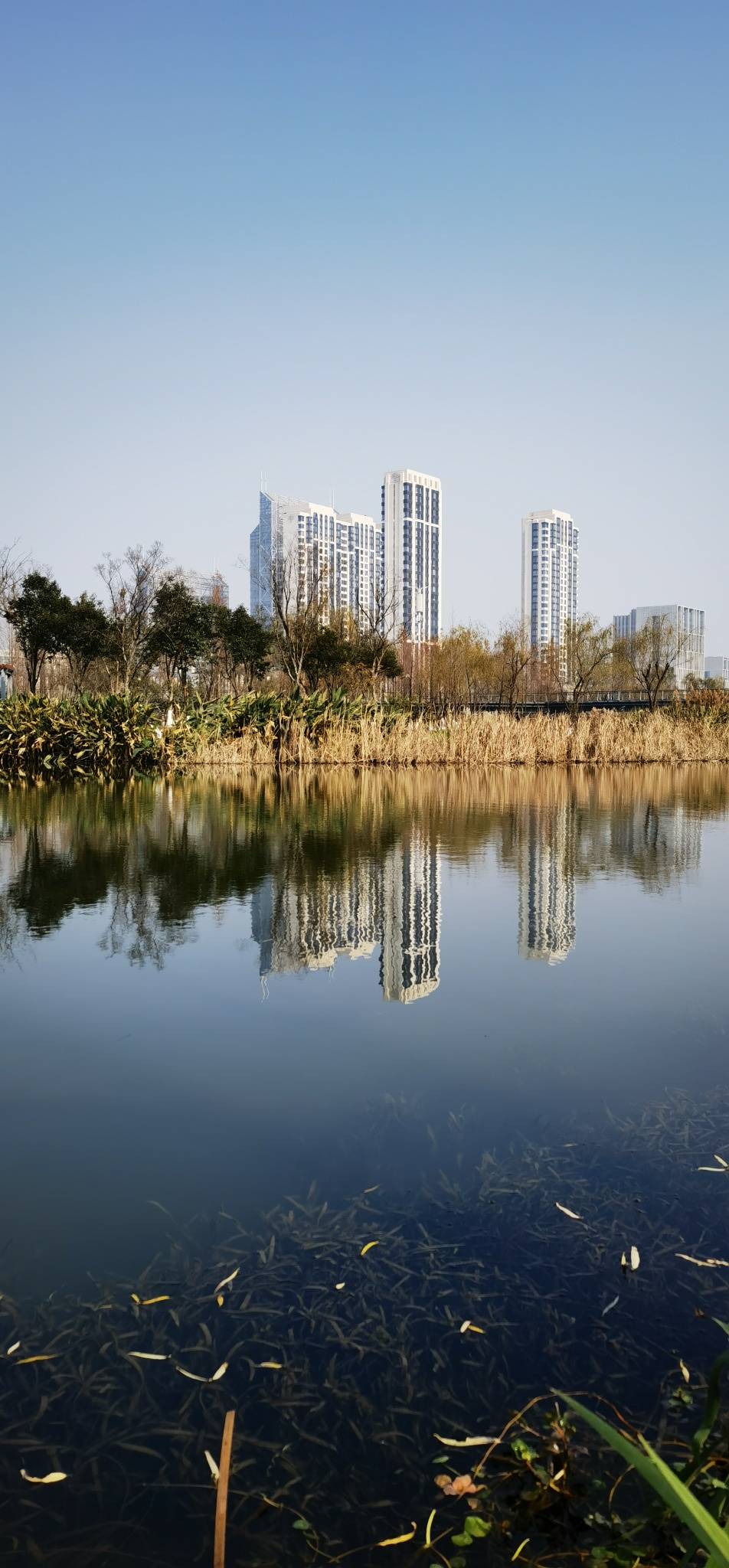 鄞州公园二期之光61景61影复制