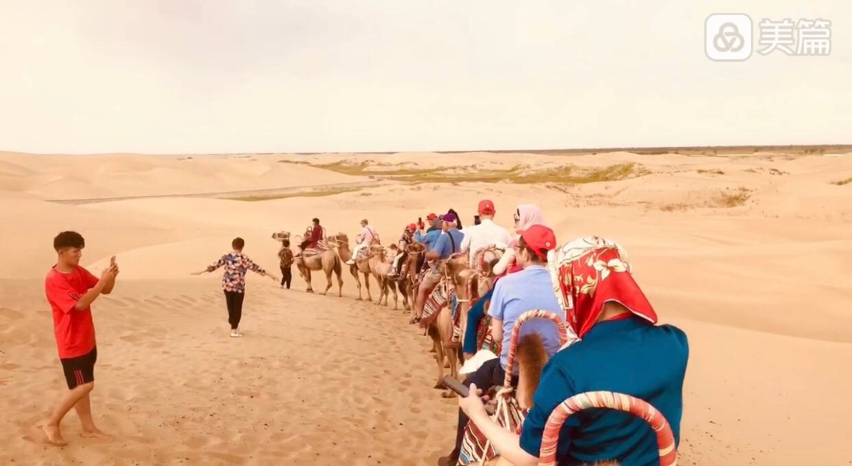 80元骑骆驼在沙漠走一圈，宁波团的队伍够长