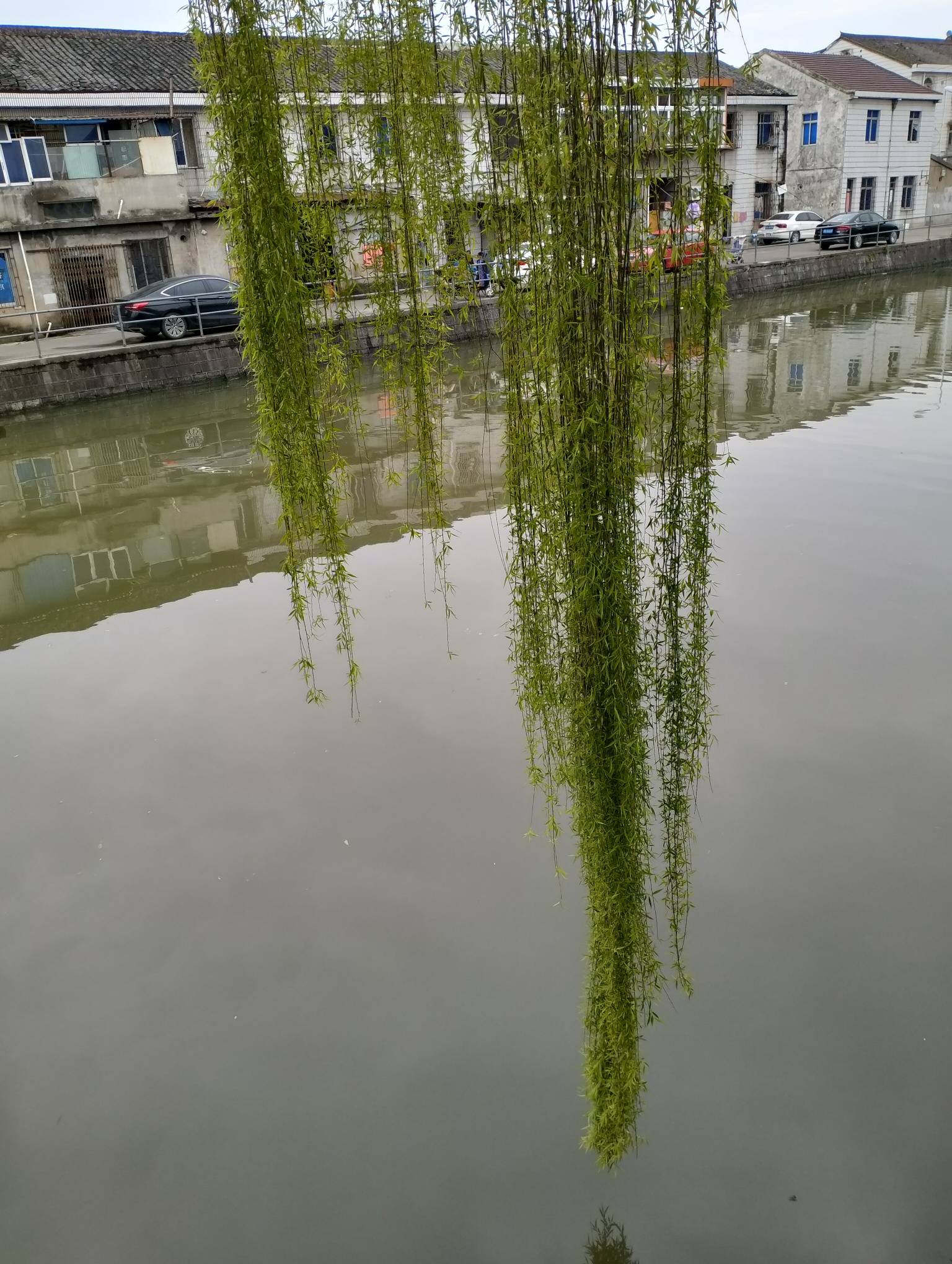 精选