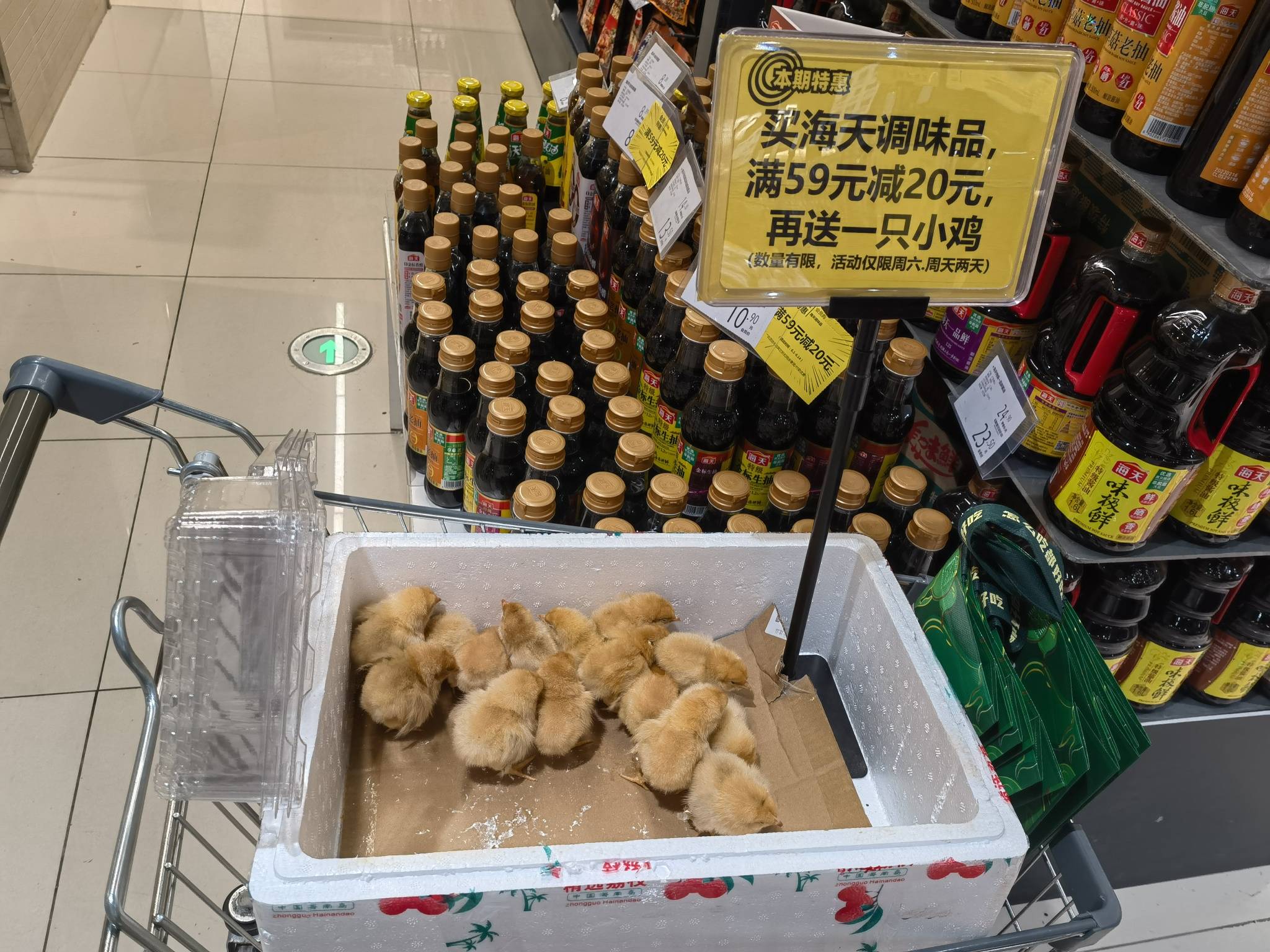 买调味品送小鸡，这是什么操作？