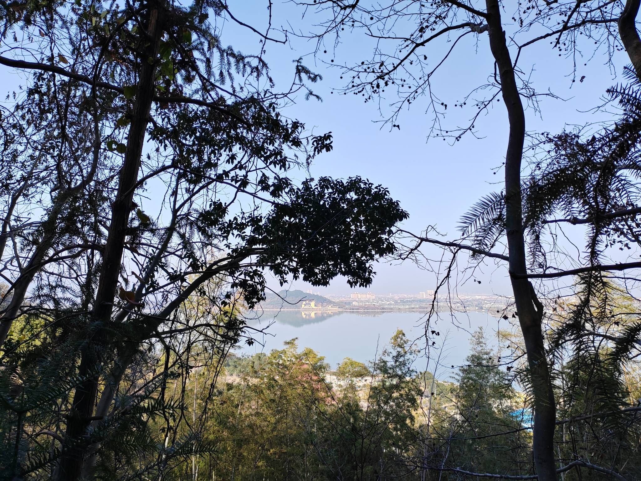 宁波市内徒步第三周，这次选择的路线是慈溪达蓬山